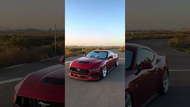 Прекрасный мустанг? #автомобили #fordmustang