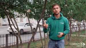 Вот как нужно обрезать деревья | Советы по стрижке плодовых деревьев | Обрезка деревьев летом