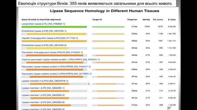 13. Посттрансляційна модифікація білків. Еволюція структури білків.