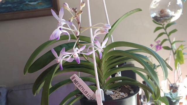 October 2017 Update смотреть онлайн