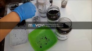 Биотестирование (оценка токсичности пестицидов в почве с помощью дождевых червей).
