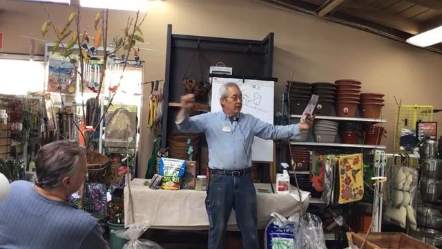 Growing Apricots Apriums  Cherries  LIVESTREAM