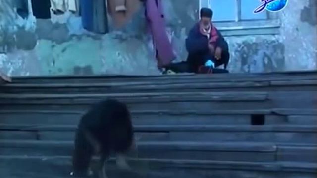 Добро пожаловать в Энурмино!