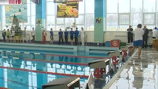 На воде бассейна «Нижегородец» стартовал традиционный «Рождественский турнир» смотреть онлайн