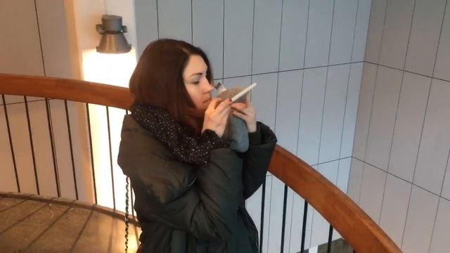 По винтовой лестнице промышленного здания. Быстрый спуск смотреть онлайн