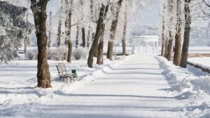 Сергей Коржуков "Зимние Воспоминания"
