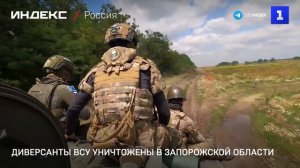 Диверсанты ВСУ уничтожены в Запорожской области