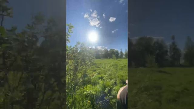 Квадроциклы