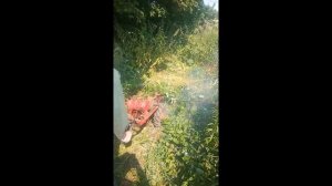 косилка МФ-70