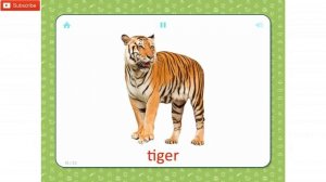 Flashcards for kids - Wild Animals - help your child learn basic words in English.