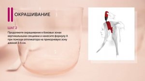 Интенсивное тонирование краской Londa Ammonia Free видео инструкция