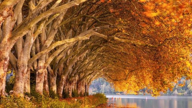 Ещё миг назад она была счастлива, но подслушав разговор родных, потеряла покой... смотреть онлайн