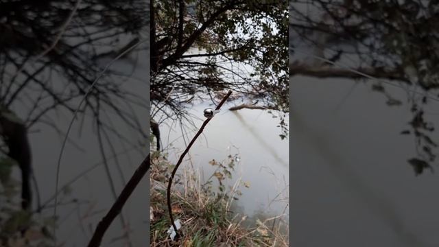 Рыбалка без снастей смотреть онлайн