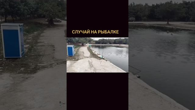 напарник
