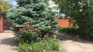 Мои летние каникулы 2021. Обзор отеля Бетон Брют ( BETON BRUT) Анапа ⛱️