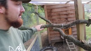 FARMER Builds DREAM Chicken Coop Run And PLAYGROUND