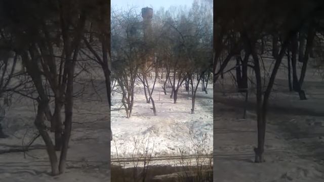 начинающий репер ( Чёрный Волк )