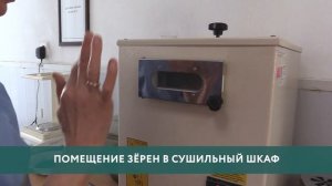 Как работает лаборатория на элеваторе