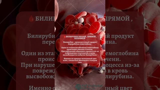 ОСНОВНЫЕ АНАЛИЗЫ КРОВИ ДЛЯ ПЕЧЕНИ