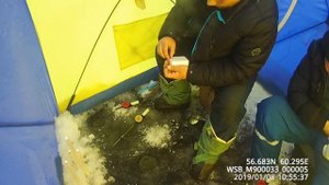 Арбалет или кивок Щербакова