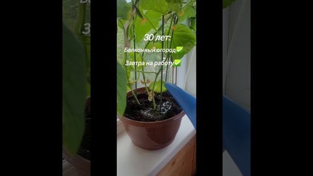 Шутки 30+