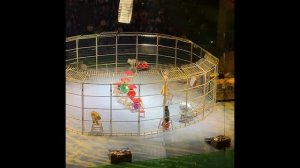 Цирковое представление Морозко