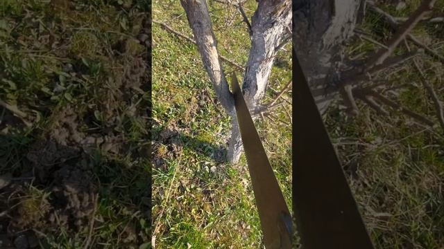 супер пила , пила СССР