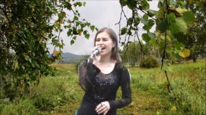 Ночка луговая, сенокосная пора  22