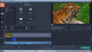 Обрезка видео в программе Movavi Video Editor