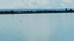 Озеро Панское . Крым. 18 августа 2022 г.￼