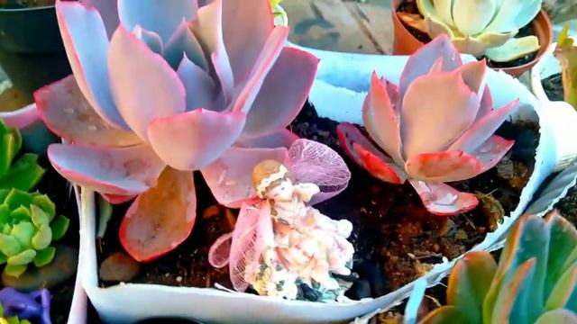 VASOS RECICLÁVEIS E REAPROVEITÁVEIS! смотреть онлайн