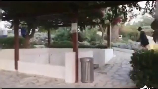 Кипр Протарас ласковое море и золотые рыбки ! Protaras Cyprus !
