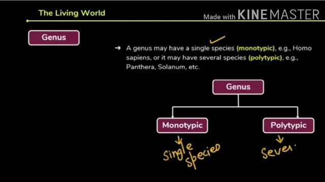 CH:THE LIVING WORLDHIERARCHY CLASSIFICATION OF ORGANISMSXI BIOLOGY