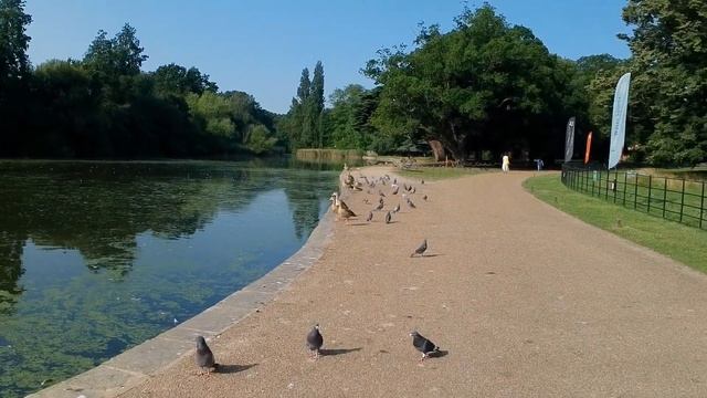 ? Exploring London Walk ?♂️?♂️?♂️ in Osterley Park ??? up to M4, Osterley House in London ???