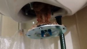 Чистка бойлера термекс