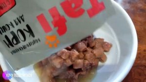 Корм для кошек Tafi (говядина в соусе)