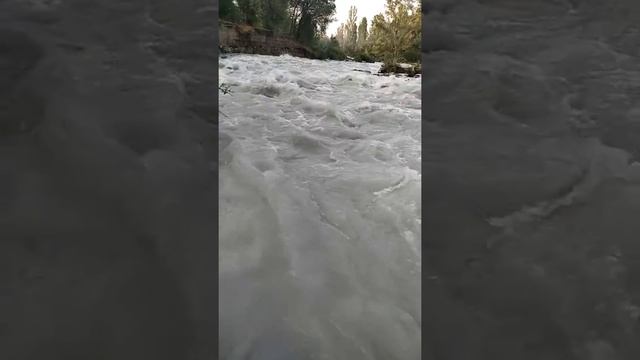 Течение бурной реки смотреть онлайн