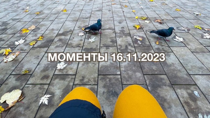 Из вчера ? | 16.11.2023