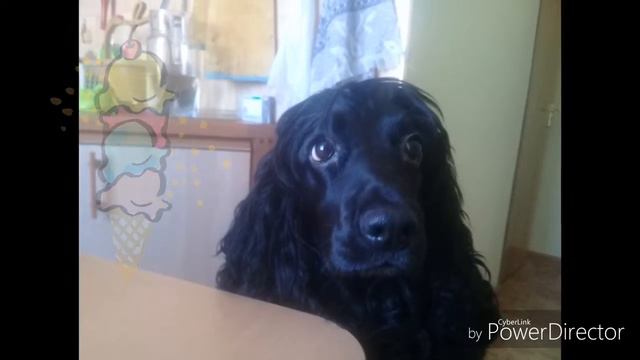 Я milaxa_veekhapy смотреть онлайн