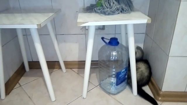 Игрушка-то что надо! Ждем двухсотого подписчика!