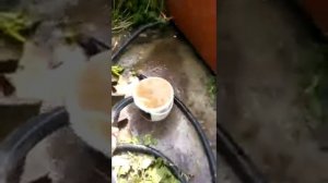 Проотвод.89648490918 или 258720 Чистка скважин Саратов .Лучший способ!