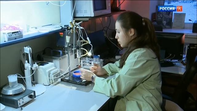 Исследования Аритмии Сердца