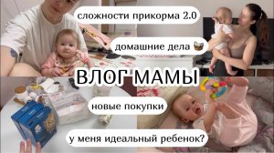 ВЛОГ МАМЫ :) сложности прикорма 2.0, новые покупки, домашние дела, идеальный ребенок? (28)