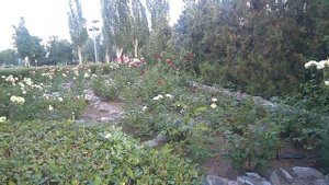 Пансионат Славутич.  Территория.Райский уголок. Бердянская коса. Бердянск.