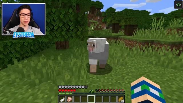 How to CRAFT MOB ARMOR and WEAPONS in Minecraft Tutorial! смотреть онлайн