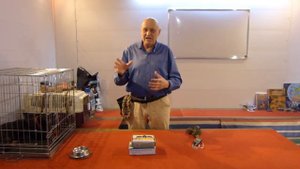 Цезарь Миллан и психофизиологические типы собак