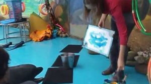 Дельфин Шкипер рисует картину для Алеши