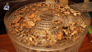 Шампиньоны. Часть № 3. Сушка.