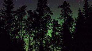 Вильгельм Варкентин. 1. Его дискурс. В чём подвох?