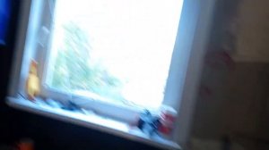 Каркасный дом 4 на 6. Дом для постоянного проживания.